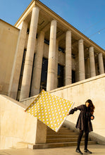 Load image into Gallery viewer, Sarah Shirt Dress