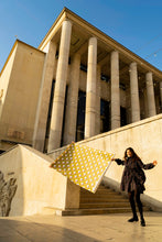 Load image into Gallery viewer, Sarah Shirt Dress